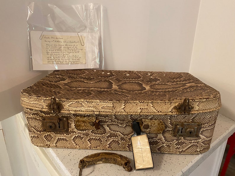 Snakeskin Suitcase Snake Skin Luggage Suitcase 1953 Antique Vintage ...