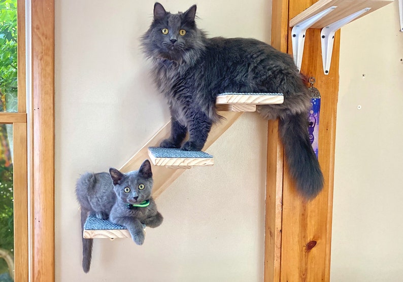 Cat Steps Wall Mounted Cat Steps Etsy