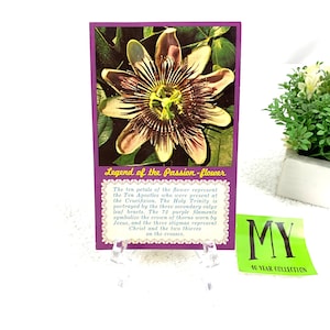 Carte postale vintage fleur de la passion complexe de fleurs de Floride Carte postale chromée usagée Timbre Washington de 5 cents My40YearCollection