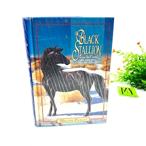1998 The Black Stallion von Walter Farley Randy House Kapitelbuch Sesamstraße My40YearCollection