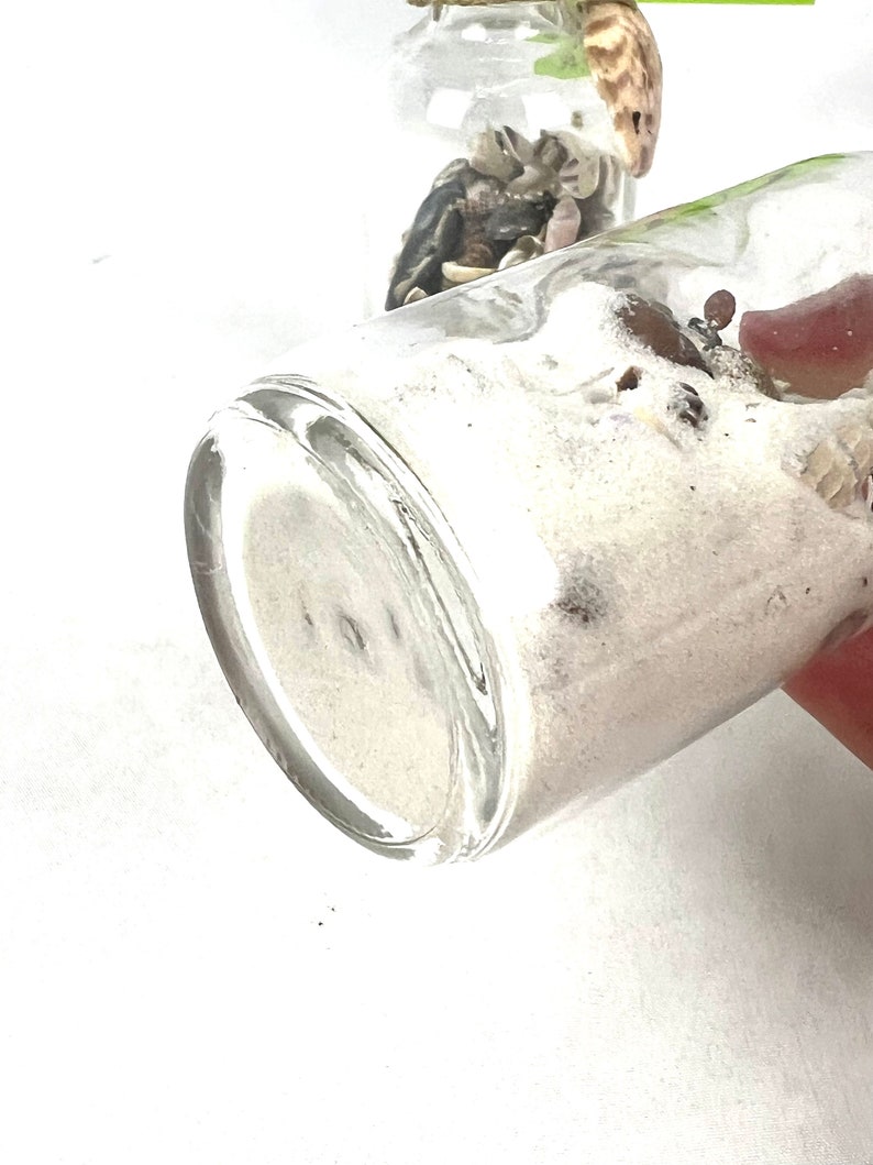 May include: Two clear glass bottles filled with white sand and seashells. The bottles are on a white surface.