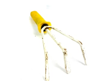 Vintage Insecticide Sprayer. Retro Rescued Fly Tox Bug