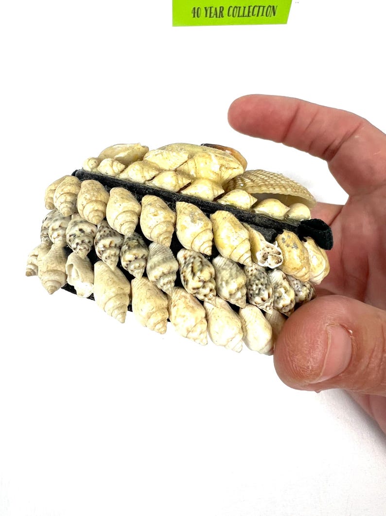 Vintage Heart Shaped Seashell Encrusted Trinket Box ...