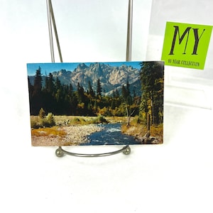 Cartão postal vintage - Castle Crags, no Castle Crags State Park - Highway 99 North California - K-152 = Estilo de pintura - My40YearCollection