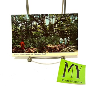 Vintage Tropical Sunken Gardens St. Petersburg Floryda, Żywy dąb 200-letni, wydany w 1969 roku, znaczek Washington 5 Cent My40YearCollection