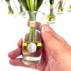 Peut inclure: Un vase en verre transparent contenant des tulipes blanches avec des tiges et des feuilles vertes. Le vase porte un logo argent&eacute; et est rempli d'un liquide jaune. Les tiges sont envelopp&eacute;es de ficelle. Le vase est tenu par une main.