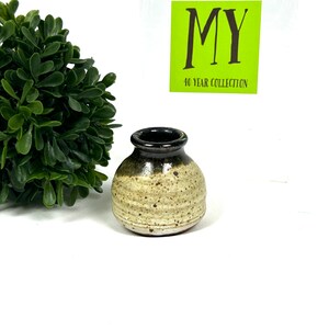 May include: A small, speckled brown and cream ceramic jar with a dark brown rim.