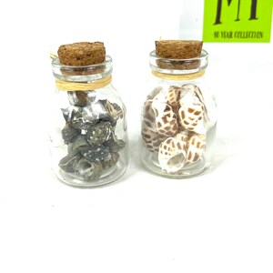 May include: Two small glass jars with cork lids, filled with seashells. The jar on the left contains small, dark brown seashells. The jar on the right contains larger, white and brown seashells.