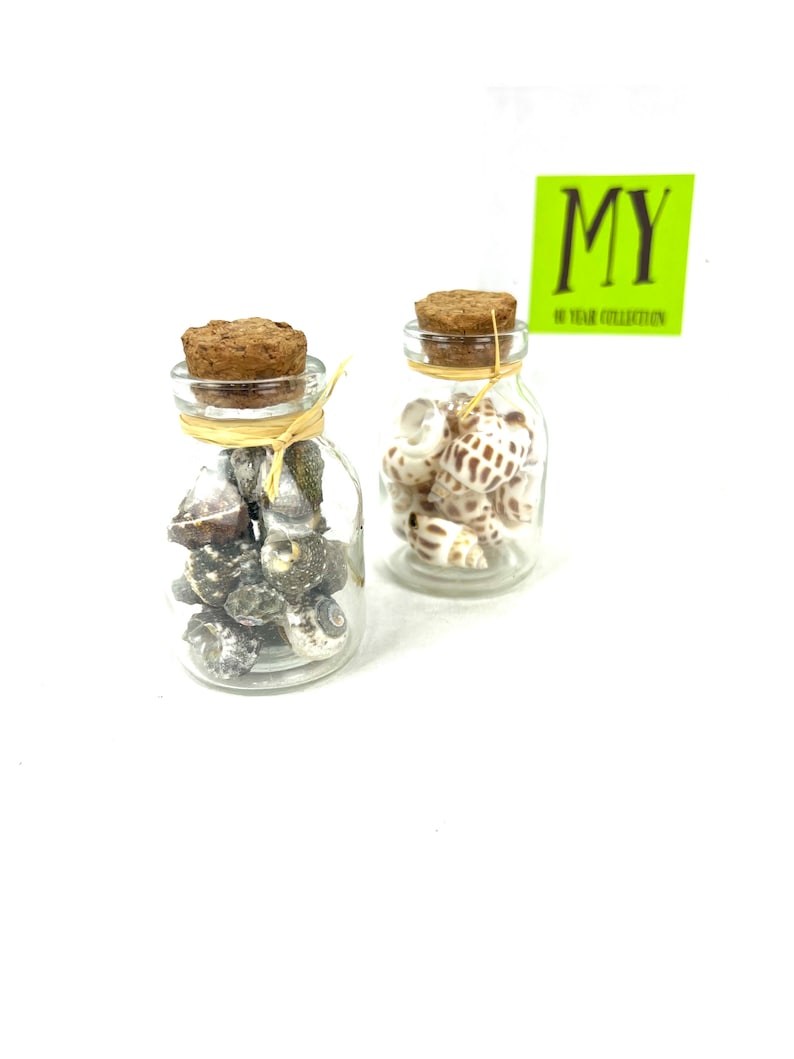 May include: Two small glass jars with cork lids filled with seashells. The jars are on a white surface. The text on the green label reads "MY 10 YEAR COLLECTION".