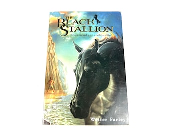 The Black Stallion by Walter Farley 2002 Publication - Softcover - Vitnage Book - My40YearCollection