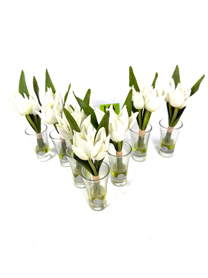 Peut inclure: Plusieurs bouquets de tulipes blanches dans des verres &agrave; shot transparents. Chaque verre contient plusieurs tulipes avec des feuilles vertes, attach&eacute;es avec de la ficelle. Les verres &agrave; shot sont dispos&eacute;s en forme de V sur fond blanc.