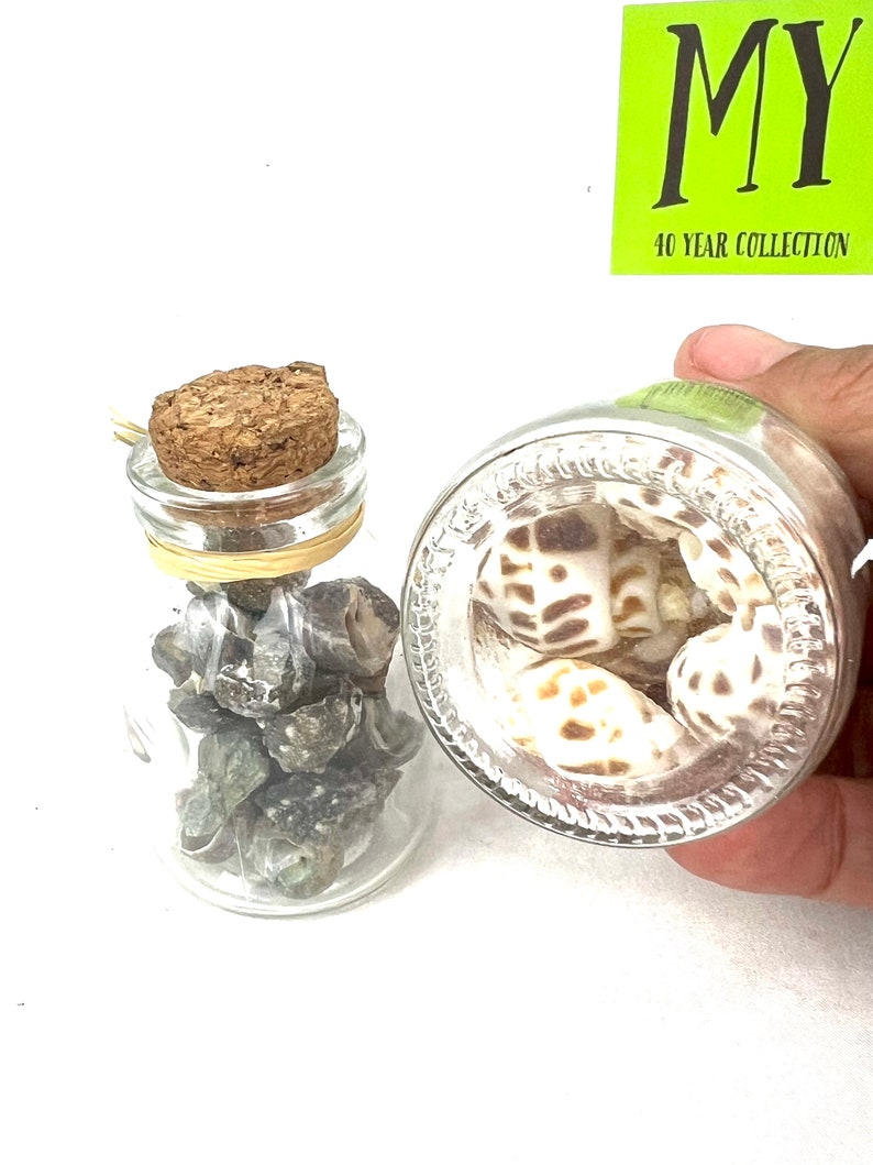 May include: Two glass jars with cork lids, one filled with small grey and green stones, the other with white and brown seashells. The jars are on a white surface. A green label with the text "MY 40 YEAR COLLECTION" is visible in the background.