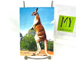 Carte postale vintage - Kagaroo rouge géant - BA 218 - Australie - Timbre australien de 25 cents de 1976 - My40YearCollection
