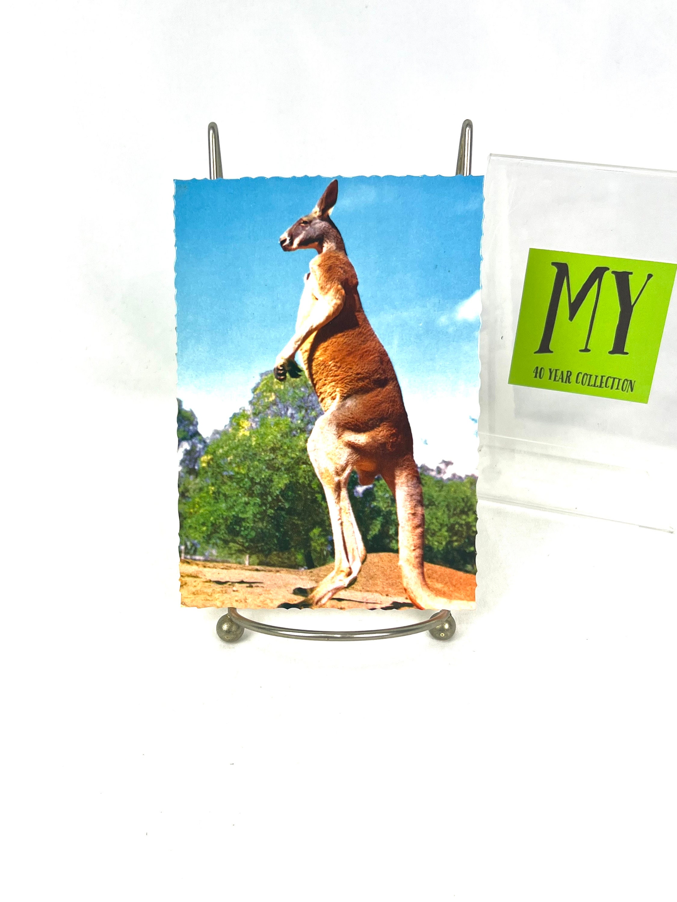 Vintage Postcard - Giant Red Kagaroo - BA 218 - Australia - 1976 Australian 25 Cent Stamp - My40YearCollection