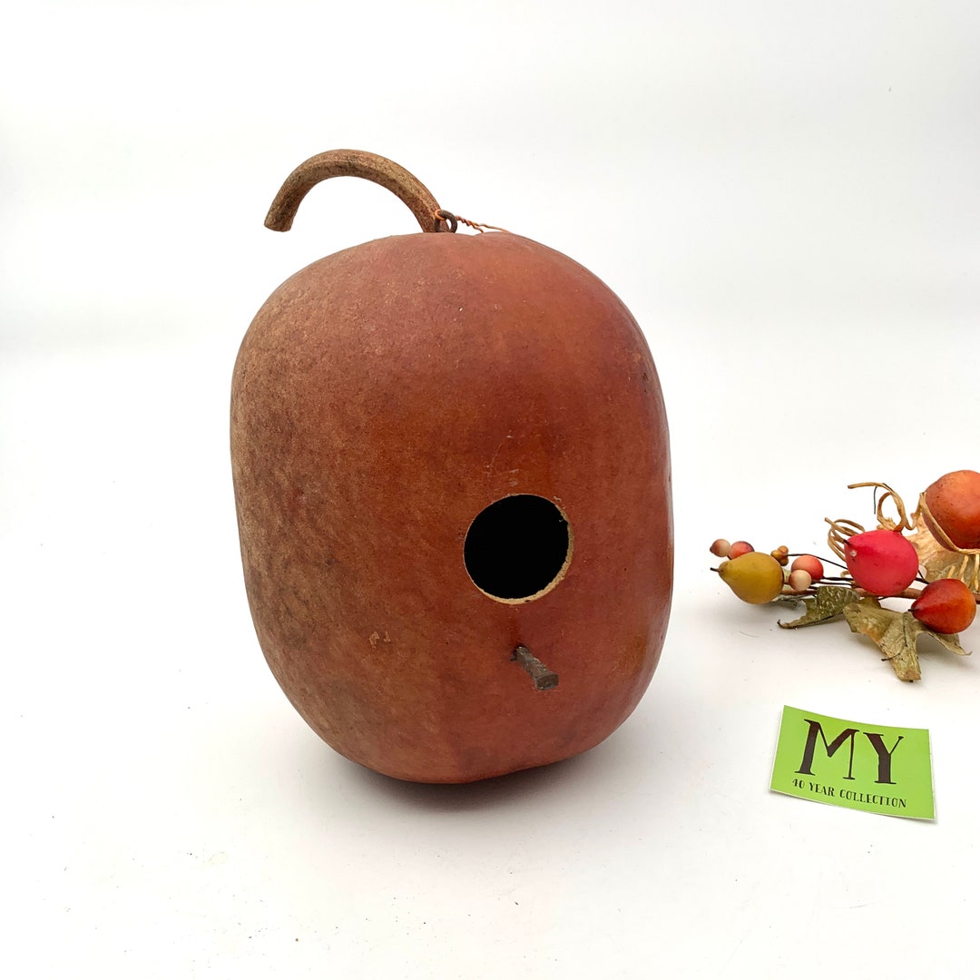 Vintage Birdhouse Bird Gourd Pumpkin Birdhouse Dried Oval Pumpkin ...