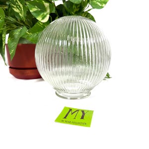 May include: Clear, ribbed glass globe light fixture. The round shade has vertical lines and a flared base. A green and white leafy plant in a brown pot is in the background. A green sticker with the text "MY 10 YEAR COLLECTION" is in the foreground.
