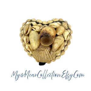 Vintage Heart Shaped Seashell Encrusted Trinket Box - My40YearCollection