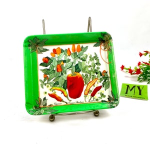 Vintage Single Design Imports Melamine Small Serving Tray Red Pepper Soap Sponge Dish Single Plastic Rectangular Plate My40YearCollection