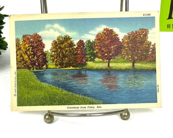 Vintage Foley Alabama Postkarte: Bäume im Herbst & Fluss, 1949
