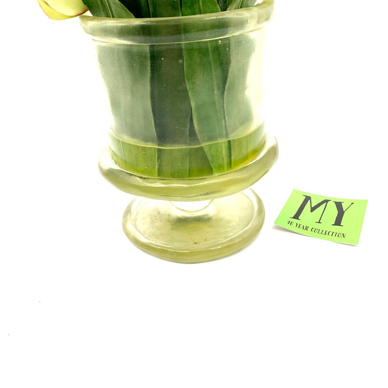 May include: A clear glass vase with a wide base and a narrow neck, filled with green leaves. The vase is sitting on a white surface. A green sticker with the text "MY 40 YEAR COLLECTION" is visible in the background.