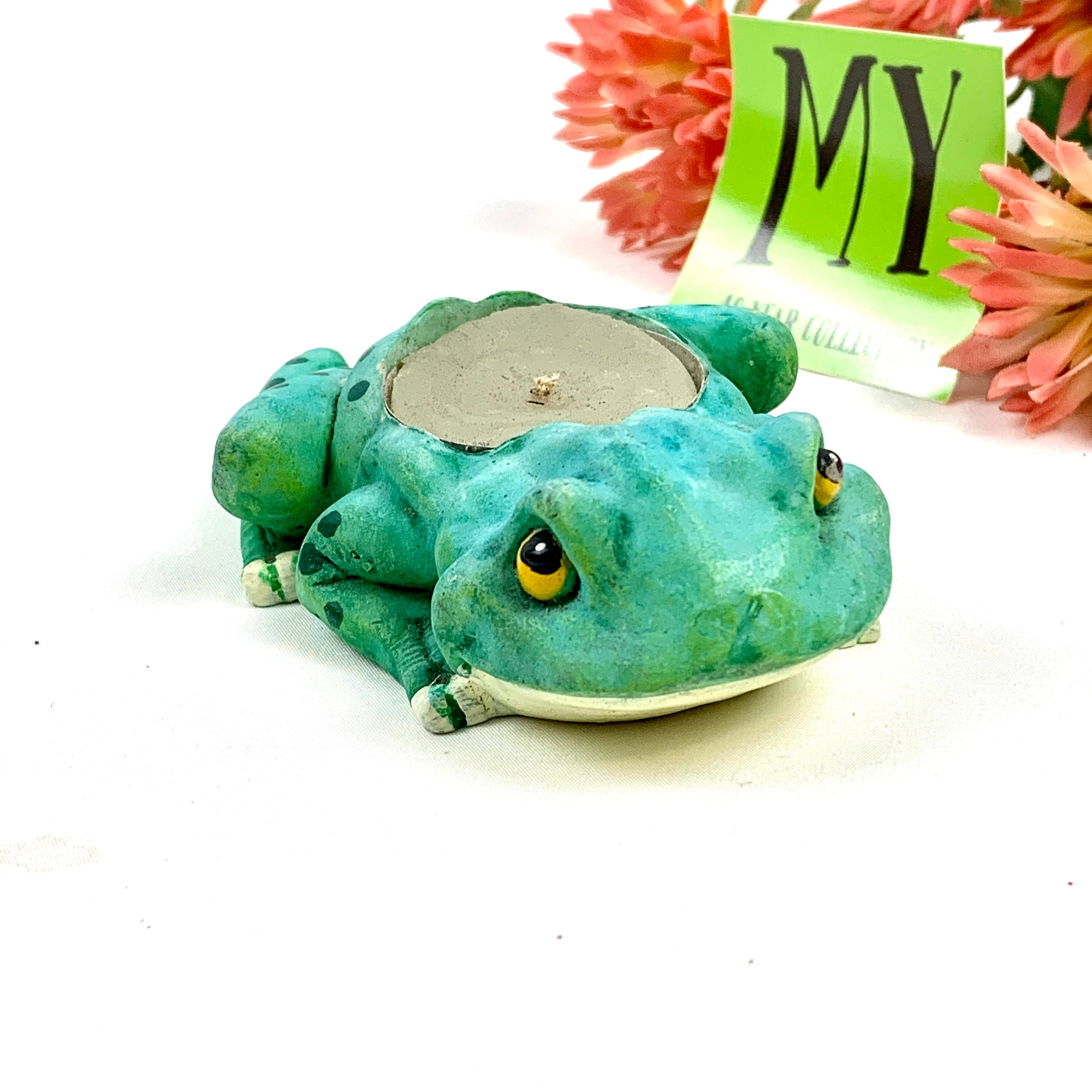 What is Name of Florida Frog That is Teal Green With Light Mint Green Markings