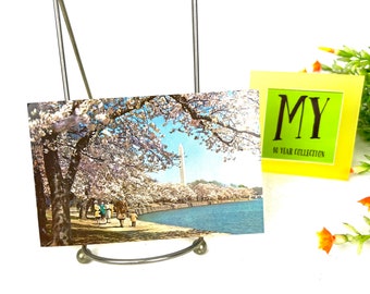 ヴィンテージポストカード - 桜の開花 - ワシントンD.C. - 白紙ポスト