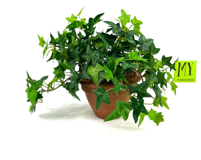 Vintage Artificial Ivy Plant Small Life Like Indoor Ivy in Small Terra