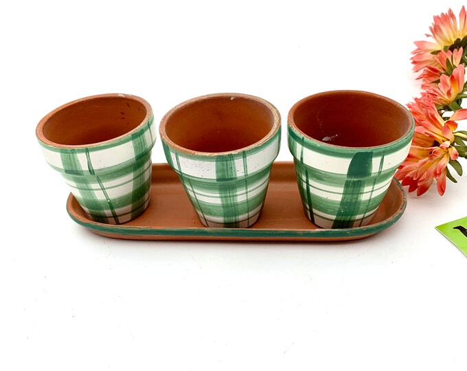 Vintage Set of Three Small Herb Pots and Tray Green and White Etsy