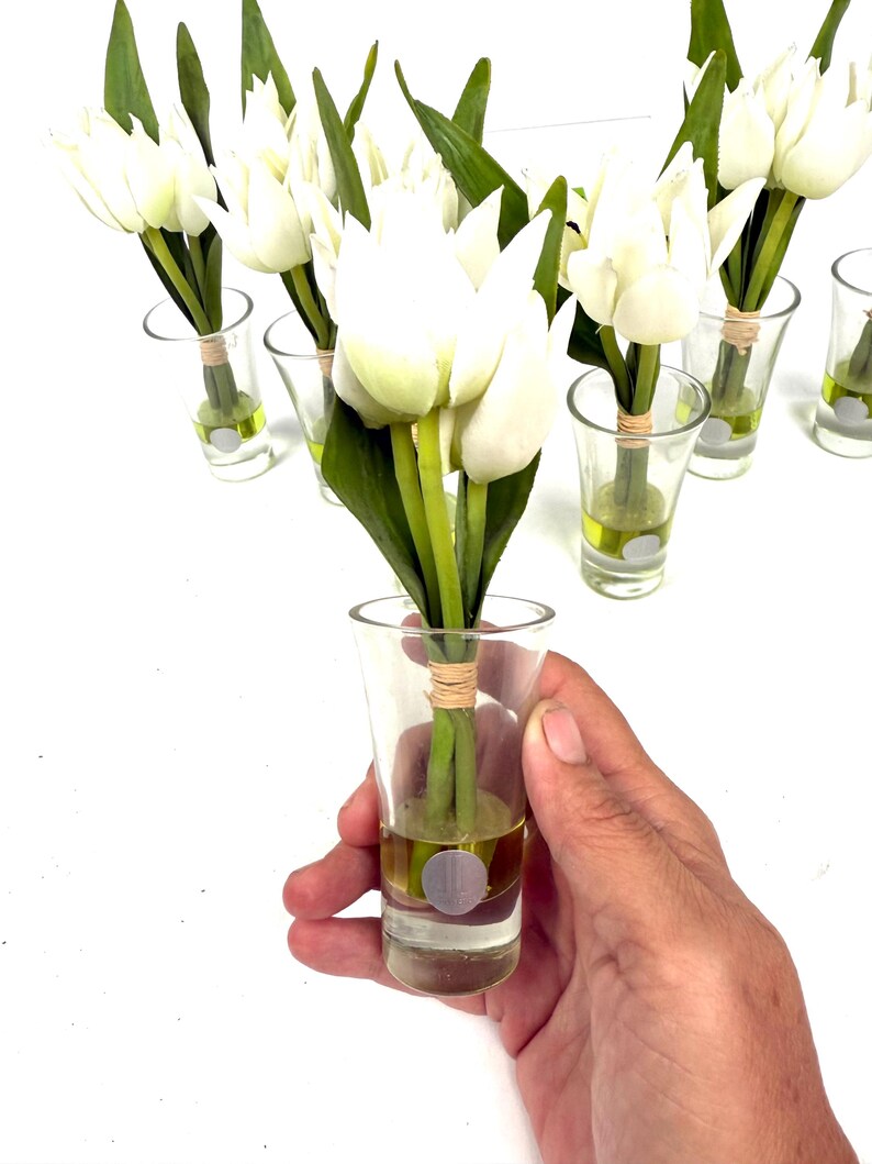 Peut inclure: Plusieurs bouquets de tulipes blanches dans des verres &agrave; shot transparents. Chaque tulipe a des tiges et des feuilles vertes. Les verres &agrave; shot contiennent un liquide jaune et sont attach&eacute;s avec de la ficelle. Une main tient un verre.