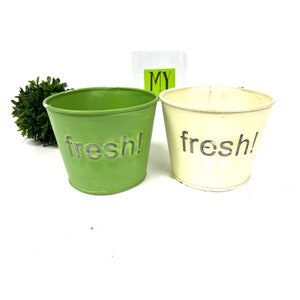 May include: Two metal planters, one green and one white, with the word "fresh!" embossed on the front.