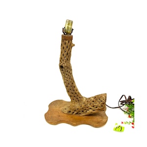 May include: A unique table lamp featuring a natural cholla cactus stem, with a brass lamp holder. The stem is mounted on a wooden base. The lamp has a brown electrical cord.