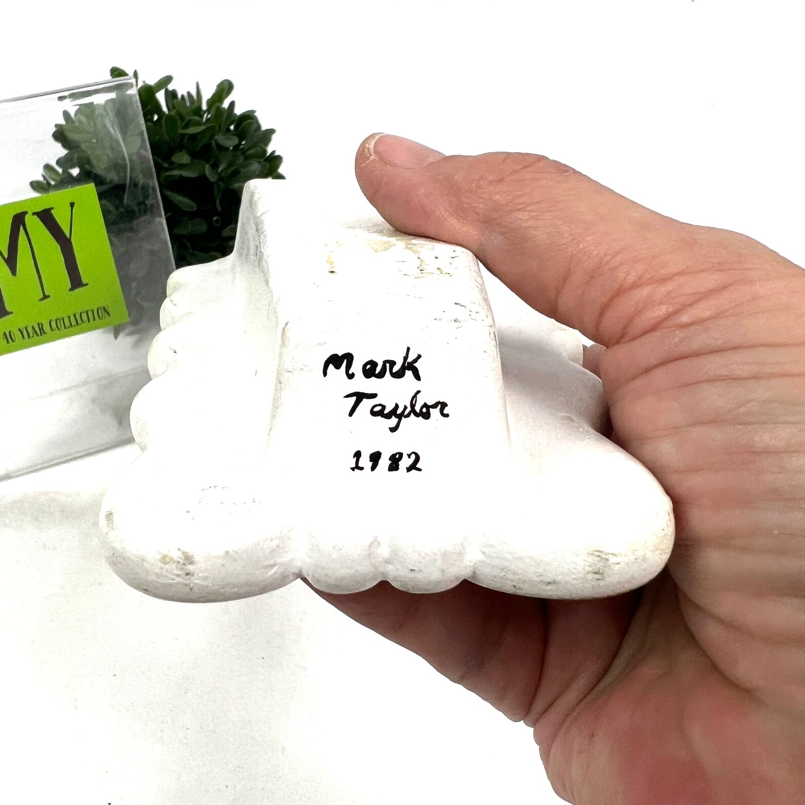 Vintage Hand Painted Ceramic Hobbyist Wall Pocket Mushrooms Etsy