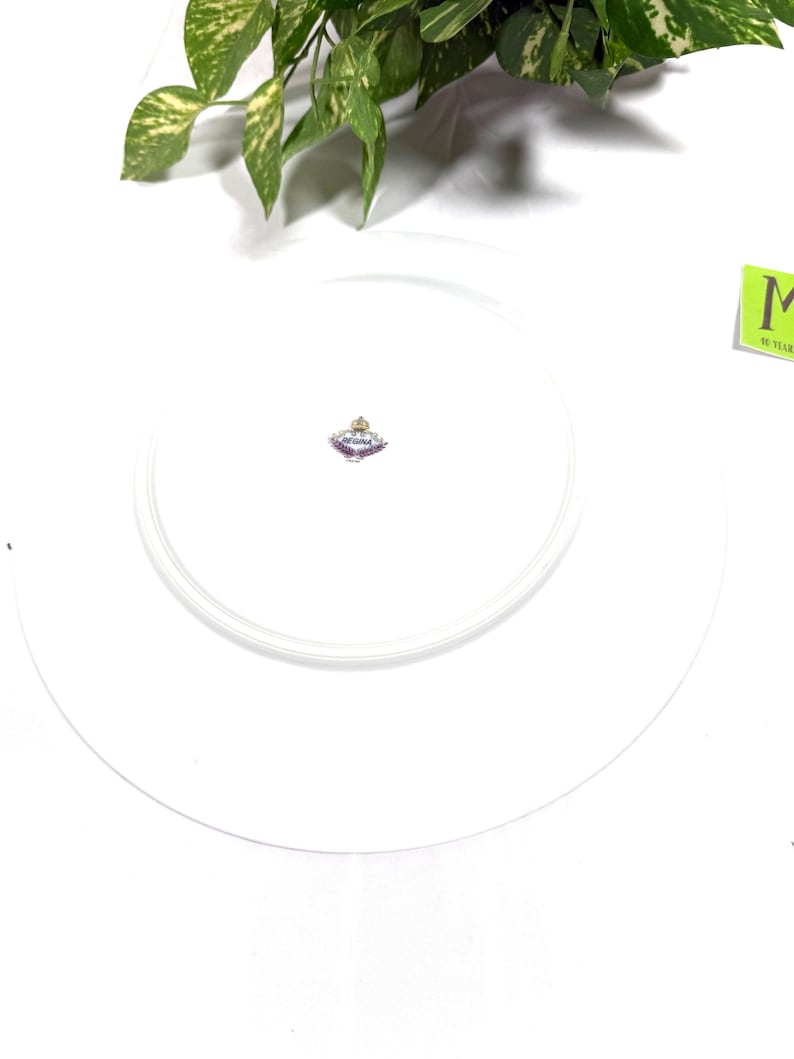 Vintage Regina China Dinner Plate Pink Rose Floral Porcelain Replacement Plate Cottage Tableware image 5