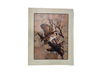 Vintage Barn Owl Art Print: Owl in Tree (20x16)