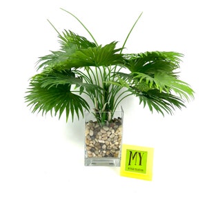 Peut inclure: Un palmier artificiel vert dans un vase en verre transparent rempli de petites pierres blanches et brunes. Le vase est carré et a une large ouverture. La plante a de nombreuses feuilles longues et fines. La plante est posée sur une surface blanche. Le texte "MY YEAR COLLECTION" est sur une étiquette jaune.