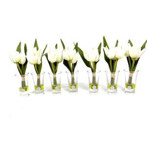 Peut inclure: Sept tulipes blanches avec des tiges et des feuilles vertes sont pr&eacute;sent&eacute;es dans des verres &agrave; shot transparents. Les verres &agrave; shot contiennent un liquide vert clair et une base circulaire blanche. Le fond est blanc uni.