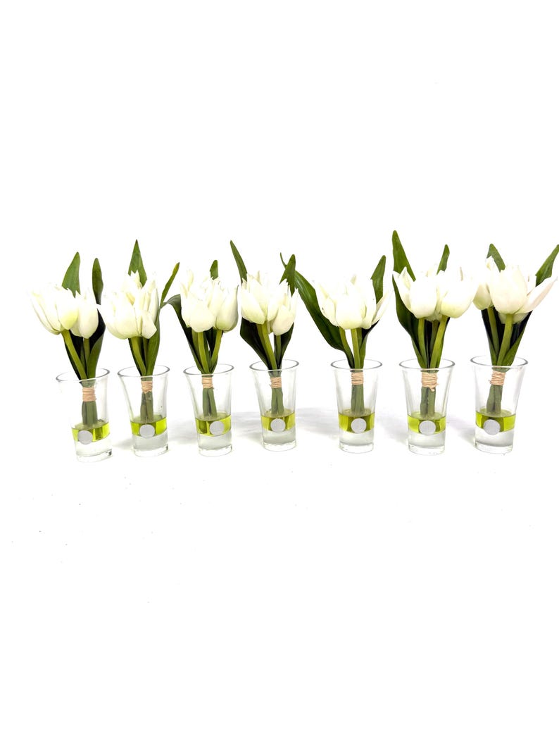 Peut inclure: Sept tulipes blanches avec des tiges et des feuilles vertes sont pr&eacute;sent&eacute;es dans des verres &agrave; shot transparents. Les verres &agrave; shot contiennent un liquide vert clair et une base circulaire blanche. Le fond est blanc uni.