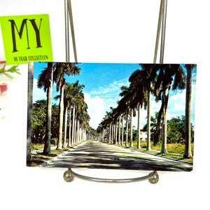 Carte postale vintage - Majestic Royal Palms Avenue, Floride du Sud - Posté dans les années 1960, Liberty 3 cents Stamp Carte postale éphémère My40YearCollection