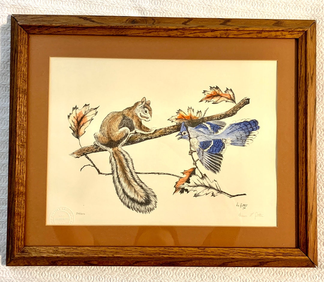 Vintage Limited Edition Squirrel and Blue Bird Drawing by Vernon L ...