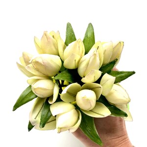 May include: A bouquet of artificial cream-colored tulips with green leaves.