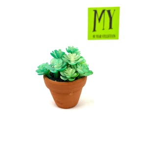 May include: A small terracotta pot with a green succulent plant. The pot is about 2 inches tall and the plant is about 3 inches tall.