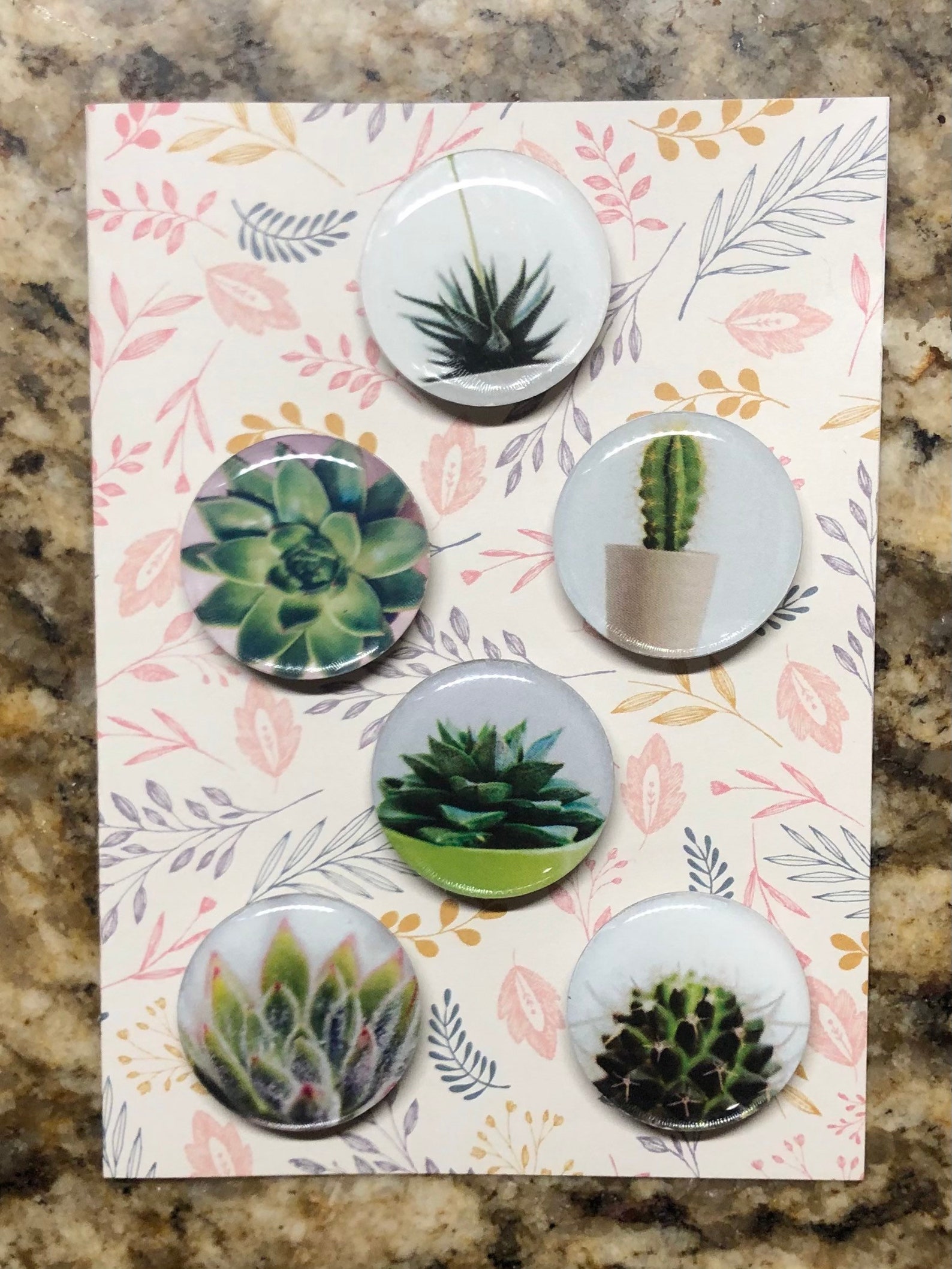 6 Pack of Succulent Fridge Gifts for plant lovers Etsy