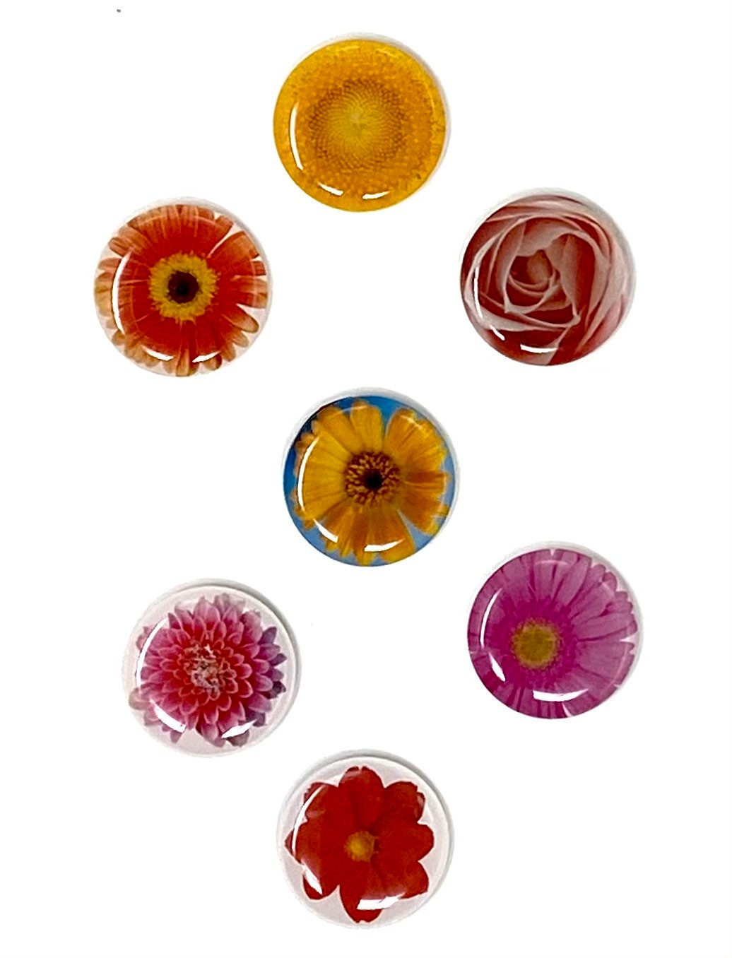 7 Pack of Flower Fridge Gifts for Spring Fridge Etsy