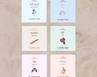 PRE-ORDER Panjabi Board Book Set of 6: Alphabet, Fruits, Veggies, Colors, Birds and Animals, newborn gift, baby book