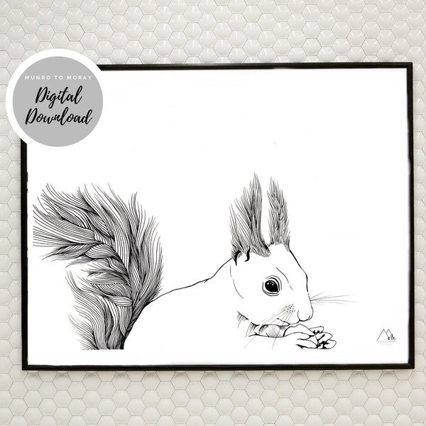 Squirrel Artwork - Red Squirrel Drawing- PRINTABLE - DIGITAL DOWNLOAD - Scottish Gift Idea - Gifts for Her - Last Minute Gift Idea