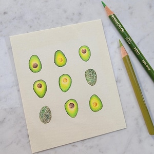ORIGINAL 4.25&quot;w x 5&quot;h Avocado Colored Pencil Artwork