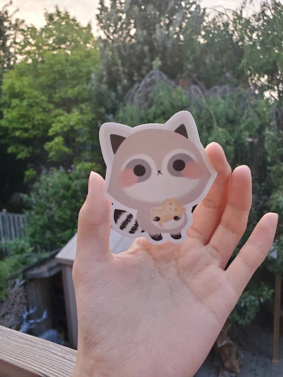 Mouse Cat Racoon Raccoon Holding Cat