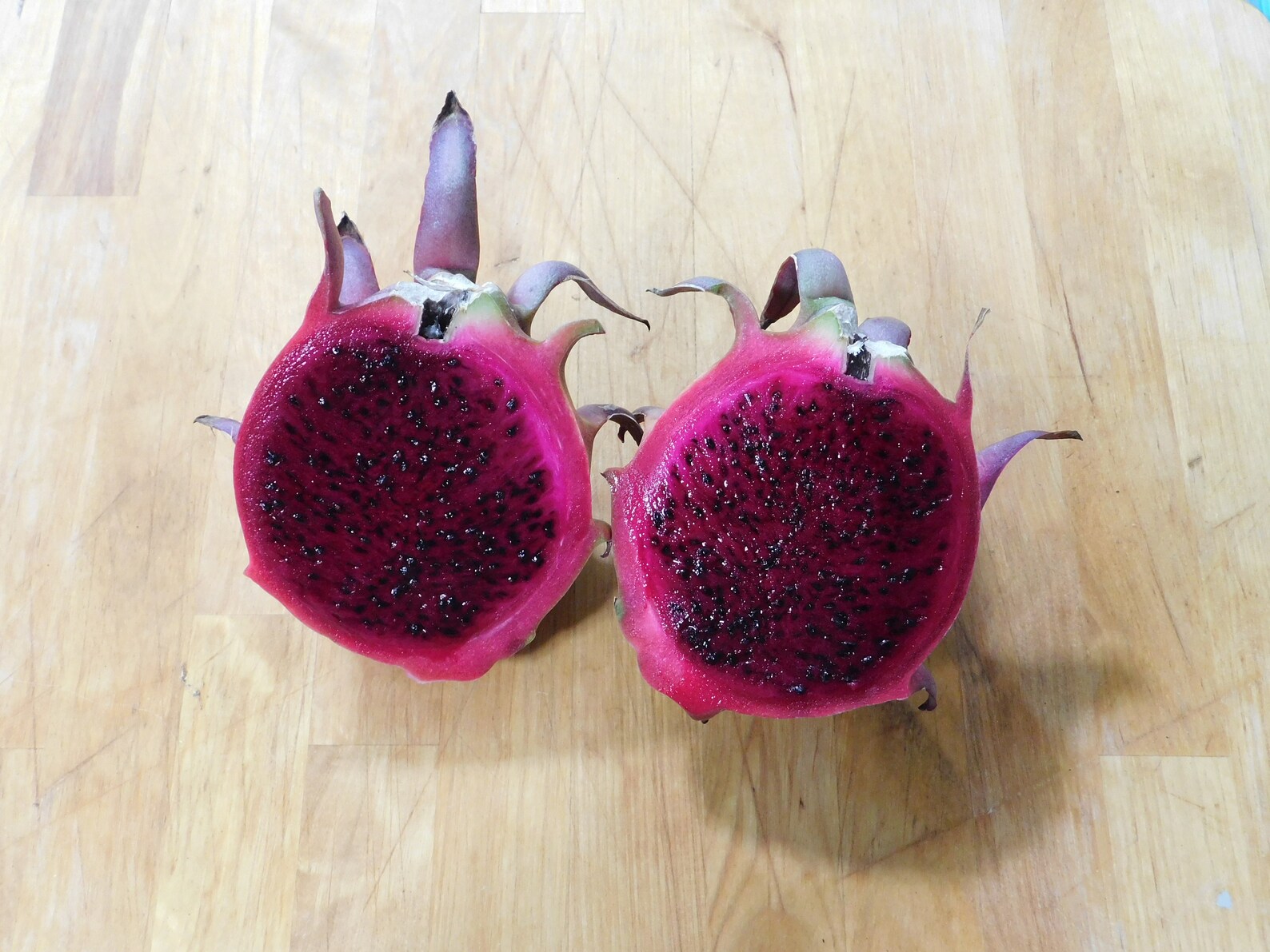 ZAMORANO Dragon Fruit Cutting Etsy