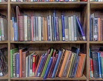 Books/Bookshelf/Reader/Reading/Fiction/Non Fiction/Digital Photography/Wall art/Library/Bookcase