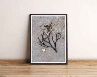 Sea Tree/Abstract Photography/Wall Art/Ocean/Seaweed/Beach/Cornish Coast/Digital Photography/Tree shape/Beach combing/Sand and Sea